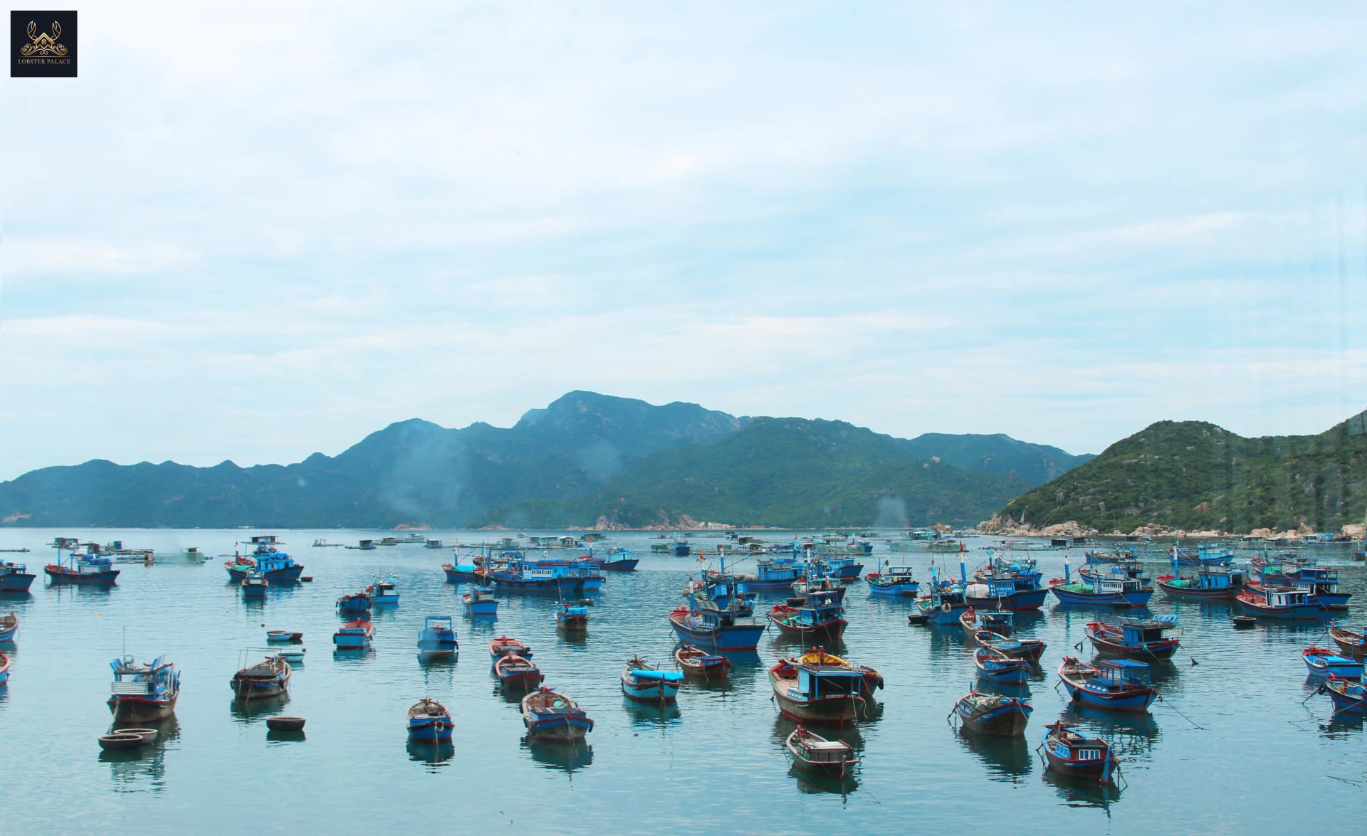 Homestay Đảo Bình Ba: Gợi Ý Lưu Trú Tiện Nghi Tại Khách Sạn Tôm Hùm