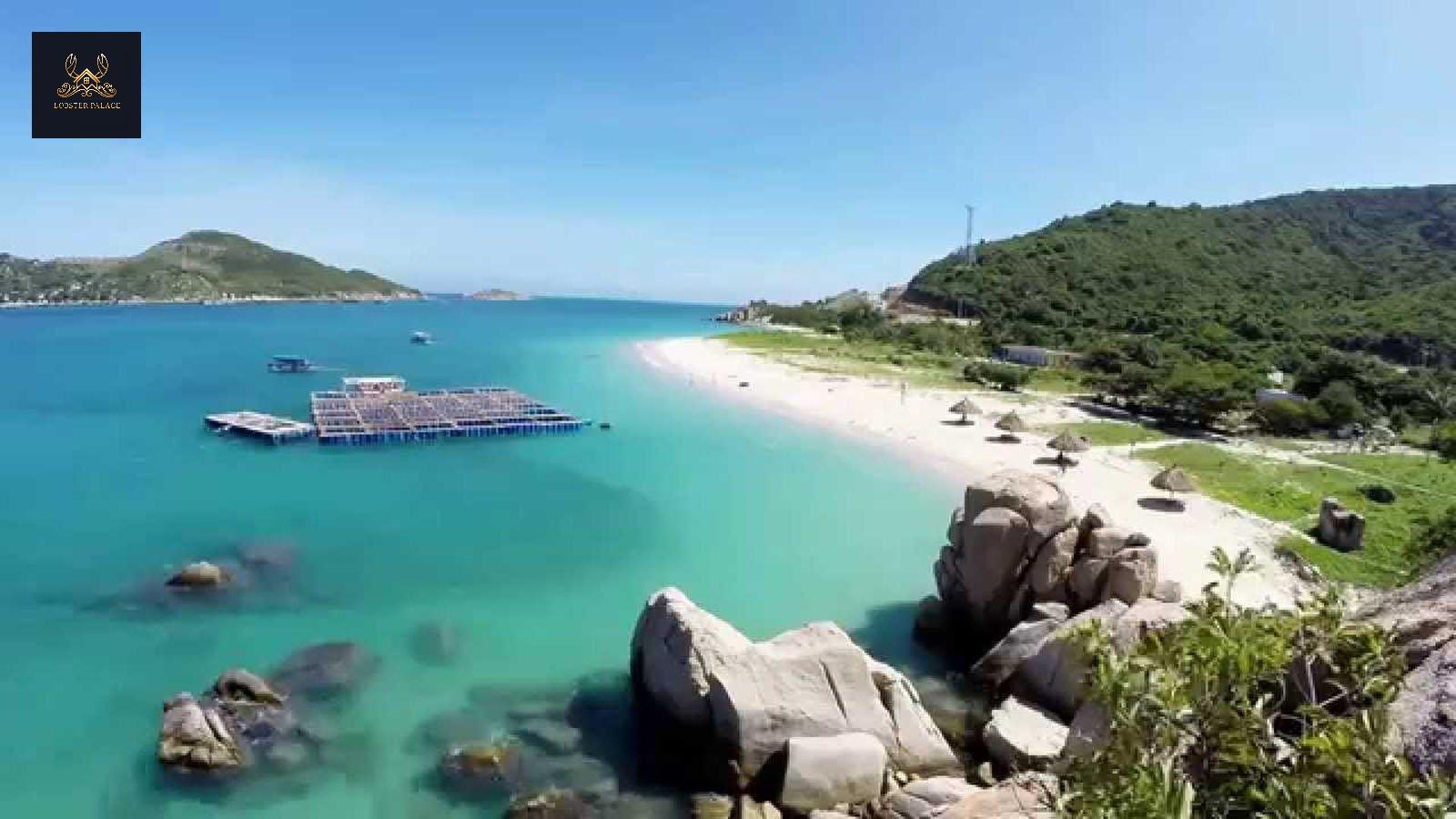 Khám Phá Bãi Kinh Bình Hưng: Điểm Check-in “Gây Sốt” Gần Nha Trang