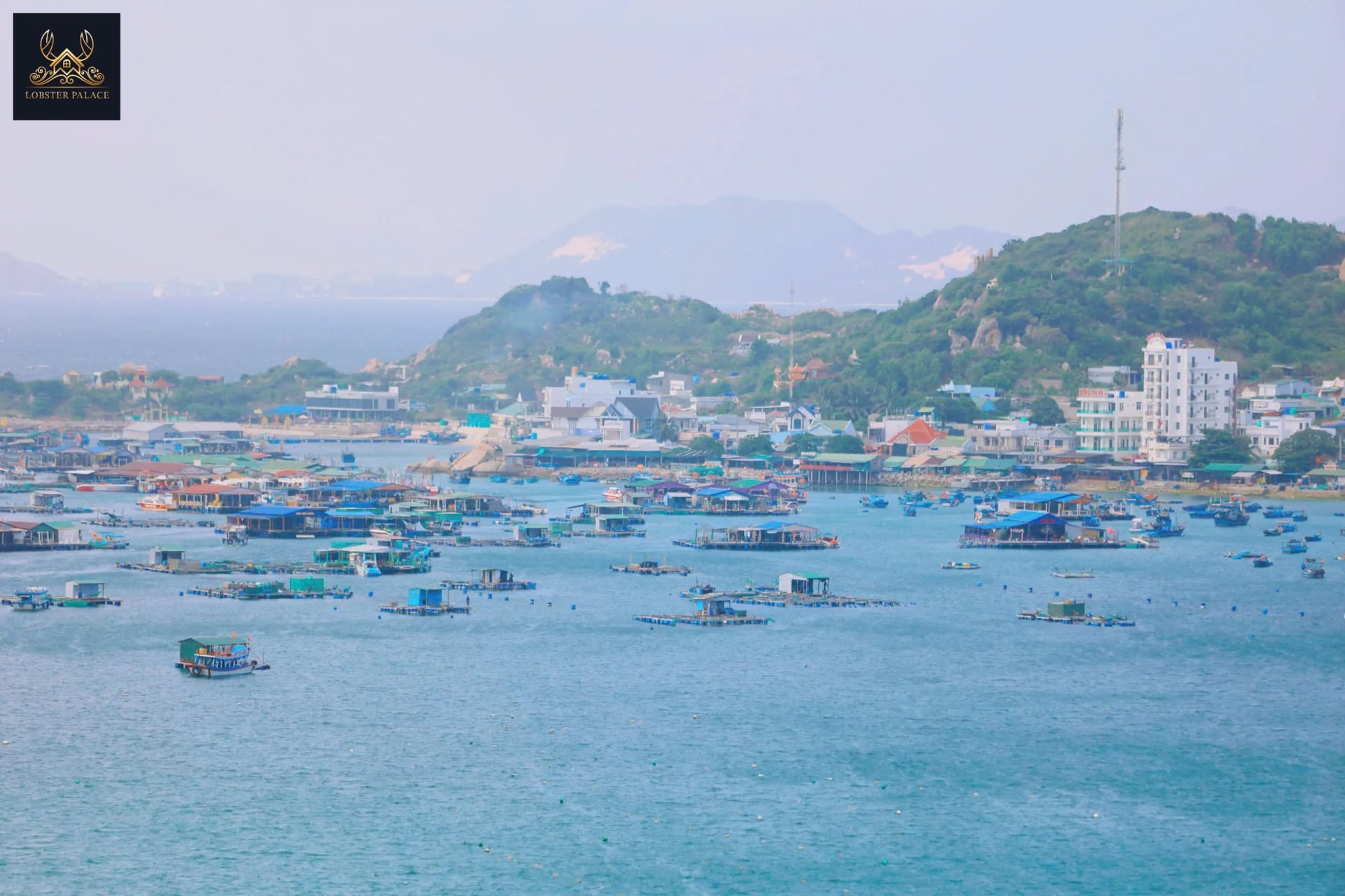 Du Lịch Đảo Bình Ba Khánh Hòa: Hành Trình Trọn Vẹn Với Phòng Nghỉ Tiện Nghi Tại Tôm Hùm Palace