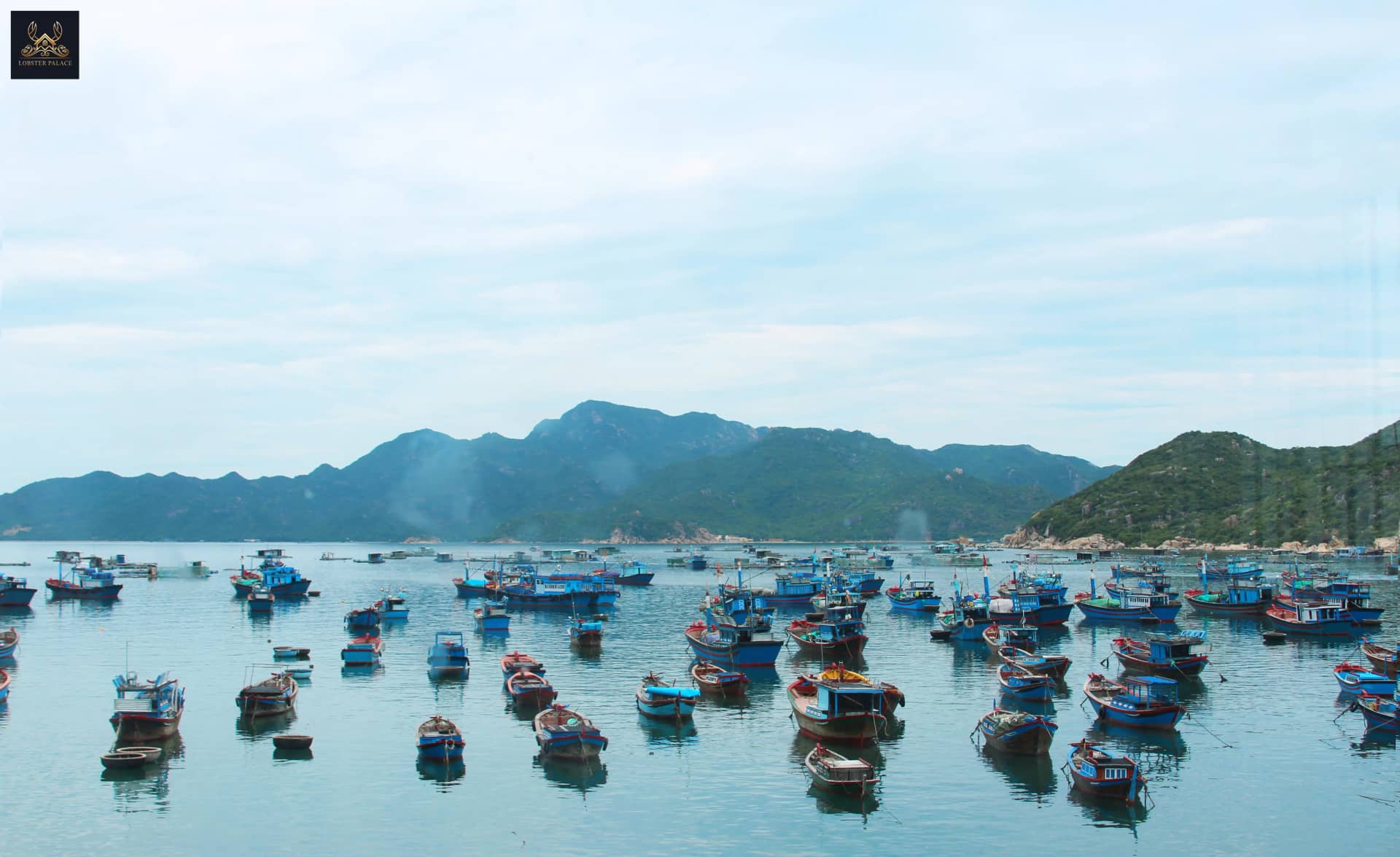 Homestay Đảo Bình Ba: Gợi Ý Lưu Trú Tiện Nghi Tại Khách Sạn Tôm Hùm