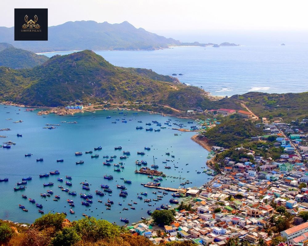Cập Nhật Tất Tần Tật Thông Tin Và Lịch Trình Chi Tiết Tour Đảo Bình Ba 3 Ngày 2 Đêm