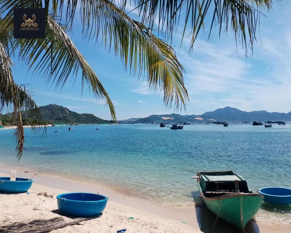Điểm Danh Khách Sạn Đảo Bình Ba Cam Ranh Được Khách Du Lịch Yêu Thích