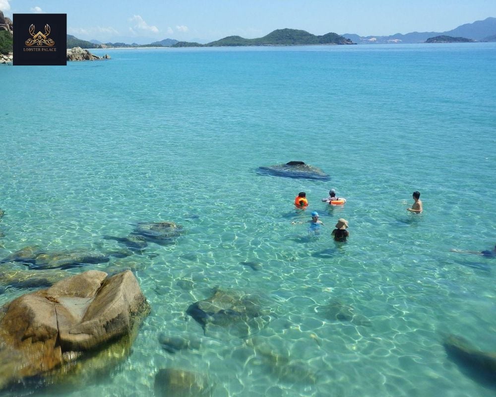 Tour Bình Hưng Bình Lập Có Gì? Review Tour Trọn Gói Từ A Đến Z