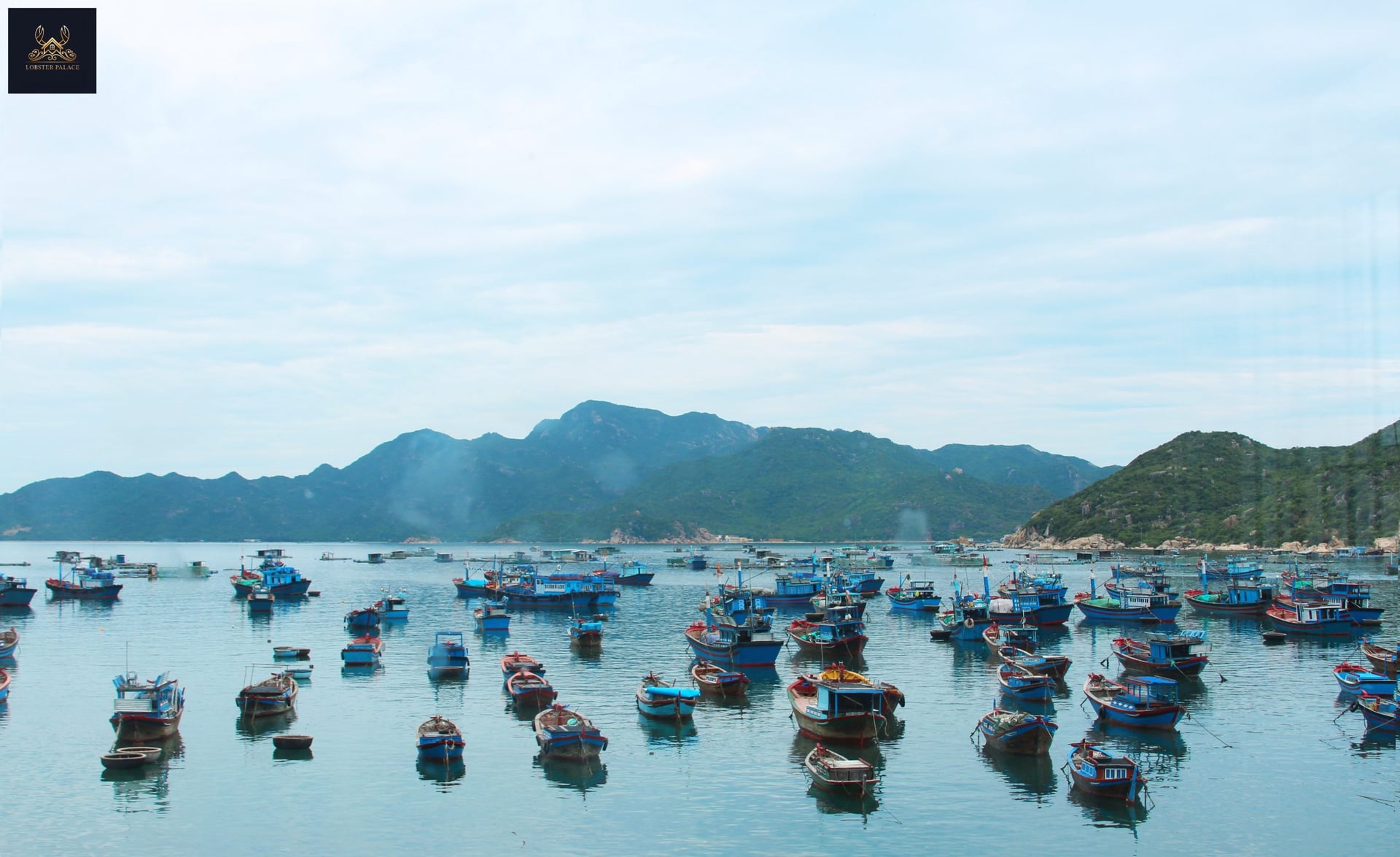 Biển Bình Ba Ở Đâu? Những Trải Nghiệm Không Thể Bỏ Qua Khi Đến Đảo Bình Ba