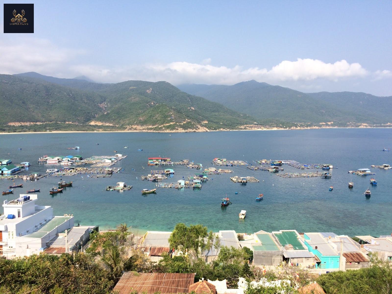 Kinh Nghiệm Chọn Tour Đi Đảo Bình Hưng Từ Nha Trang Uy Tín, Chất Lượng